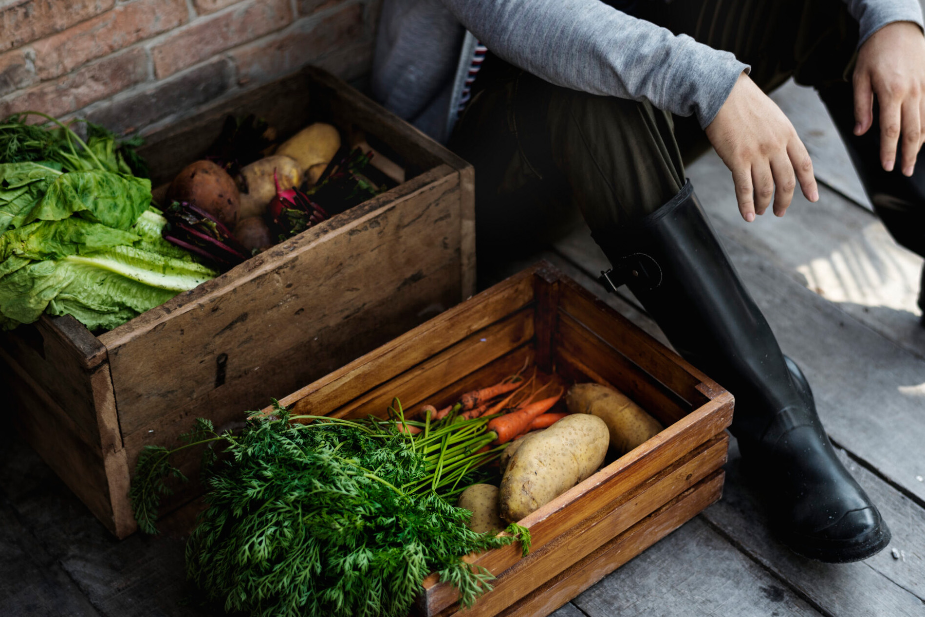 AdobeStock_388086694