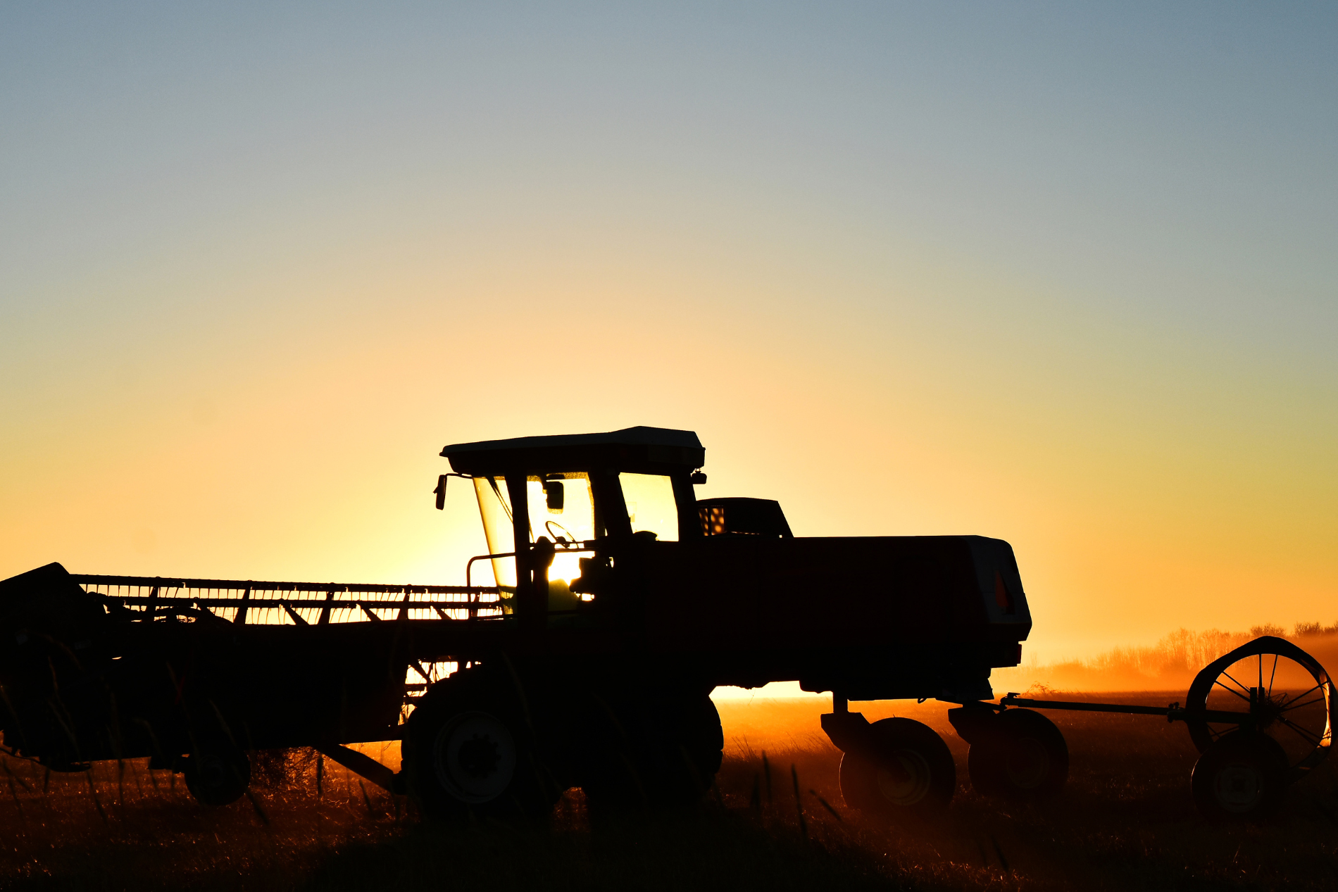 AdobeStock_344362210