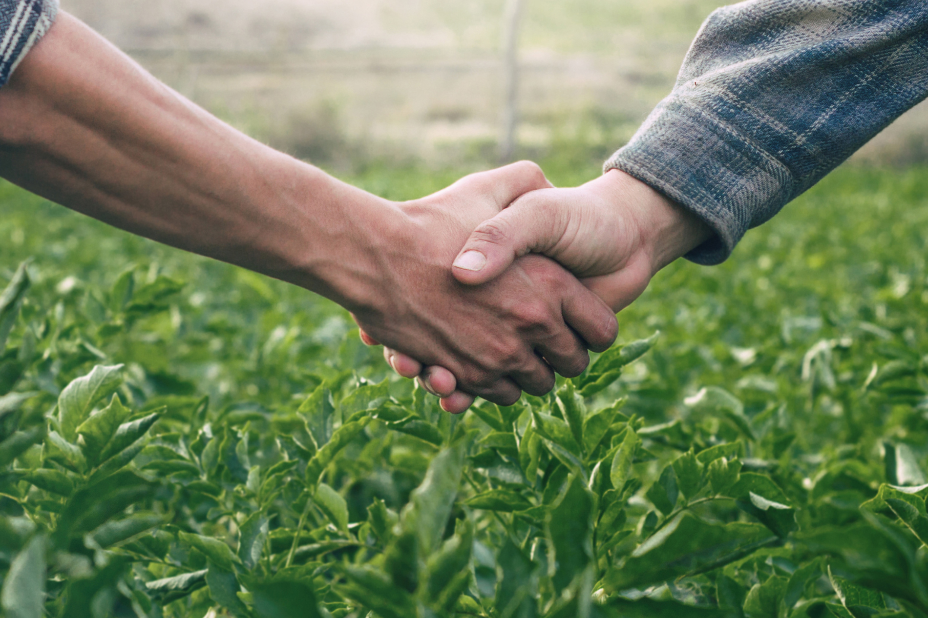 AdobeStock_344362210